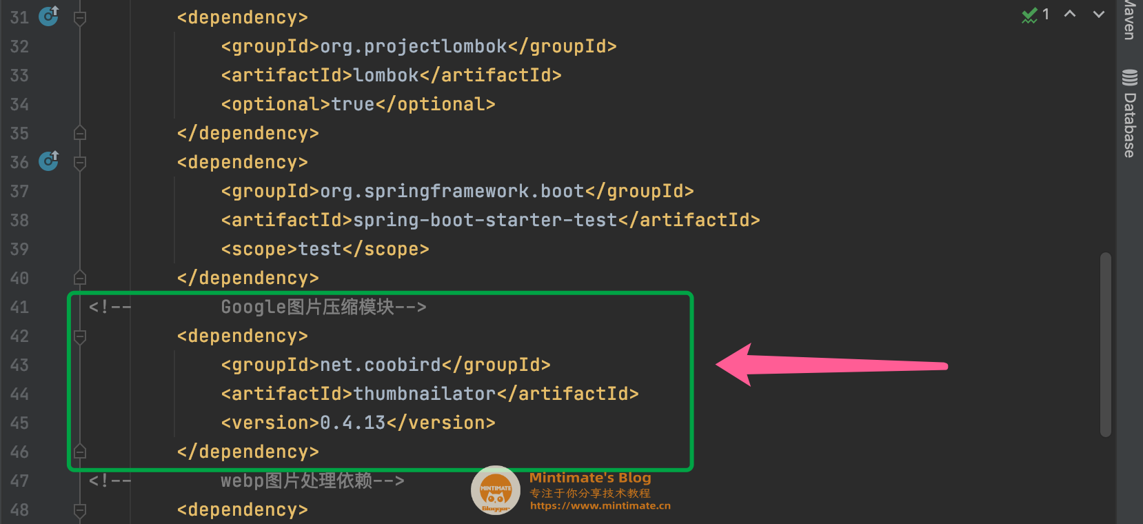 Java X全面解析：从入门到高级应用指南